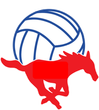 Grapevine Mustang Volleyball